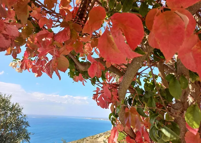 Lejlighed Rania-apartments 2 *